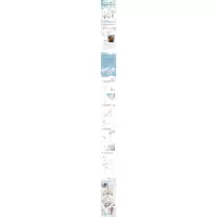 我的秋天是蟋蟀做的