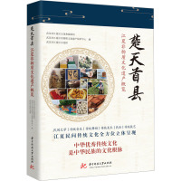 楚天首县:江夏非物质文化遗产概览