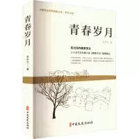 青春岁月