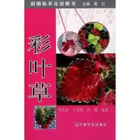 [M]彩叶草 -9787109156173
