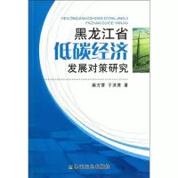 [M]黑龙江省低碳经济发展对策研究-9787109156623