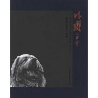 [M]林跃藏獒油画作品集-9787541132452