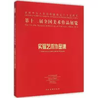 [M]第十二届全国美术作品展览实验艺术作品集-9787102069340
