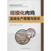 [M]规模化肉鸡高效生产原理与技术-9787109165052
