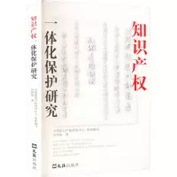 知识产权一体化保护研究