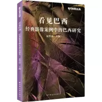 看见巴西 经典影像案例中的巴西研究