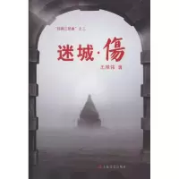 [M]迷城·伤-9787532140626