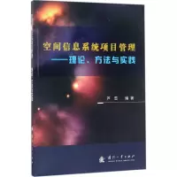 空间信息系统项目管理