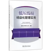 低压线损精益化管理实务