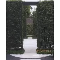 [M]品味庭院2-9787503863660