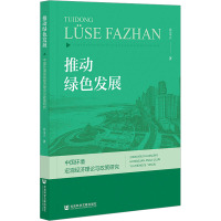 推动绿色发展 中国环境宏观经济理论与政策研究