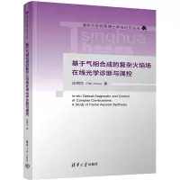 基于气相合成的复杂火焰场在线光学诊断与调控