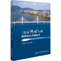 清远洲心大桥勘察设计关键技术