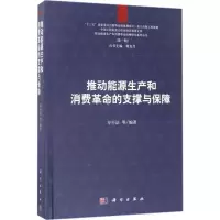 推动能源生产和消费革命的支撑与保障