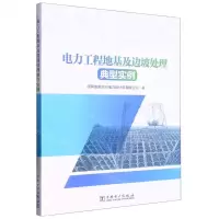 [N]电力工程地基及边坡处理典型实例-9787519861926