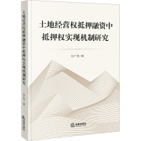 土地经营权抵押融资中抵押权实现机制研究