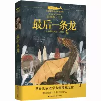 白鲸国际大奖作家书系·第五辑:最后一条龙