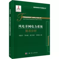 风电并网电力系统暂态分析