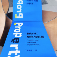 物权法:规则与解释