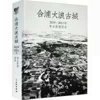 合浦大浪古城 2019~2021年考古发掘报告