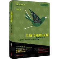 天使飞走的夜晚