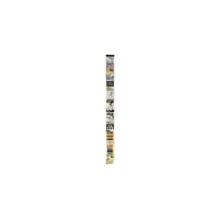 绝顶.5/肖新宇