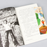 长青藤国际大奖小说书系第十五辑:了不起的男孩