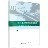 农村小水电降损增效技术
