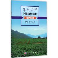 攀枝花市中棵烤烟栽培技术图册