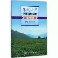 攀枝花市中棵烤烟栽培技术图册