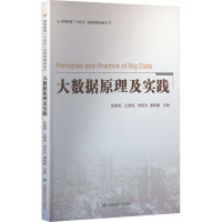 大数据原理及实践