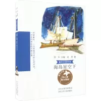海岛星空下