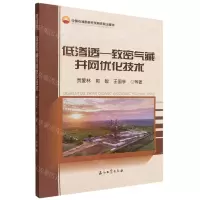 [N]低渗透-致密气藏井网优化技术-9787518353569