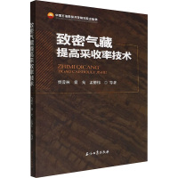 致密气藏提高采收率技术