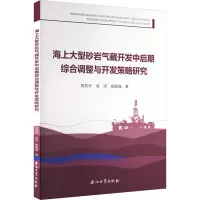 海上大型砂岩气藏开发中后期综合调整与开发策略研究