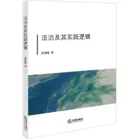 法治及其实践逻辑