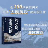 这才是丝绸之路 重抵历史现场的行走