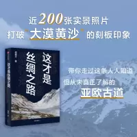 这才是丝绸之路 重抵历史现场的行走