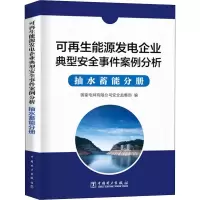 可再生能源发电企业安全事件案例分析 抽水蓄能分册