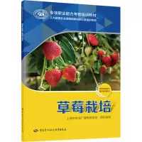 草莓栽培