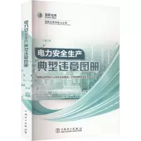电力安全生产典型违章图册