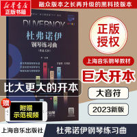 杜弗诺伊钢琴练习曲(作品120) 大音符 大开本