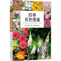 四季花色图鉴