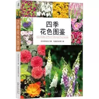 四季花色图鉴