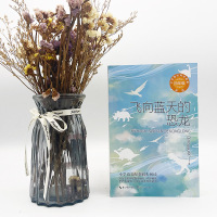 飞向蓝天的恐龙 新版