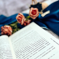 师爱的向度 小学教师伦理研究