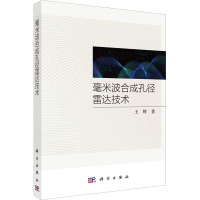 毫米波合成孔径雷达技术