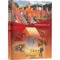 抗洪保电 湘豫同心—先进事迹纪实