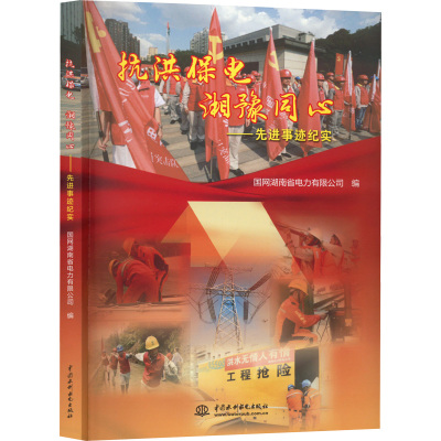 抗洪保电 湘豫同心—先进事迹纪实