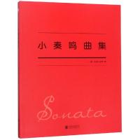 小奏鸣曲集